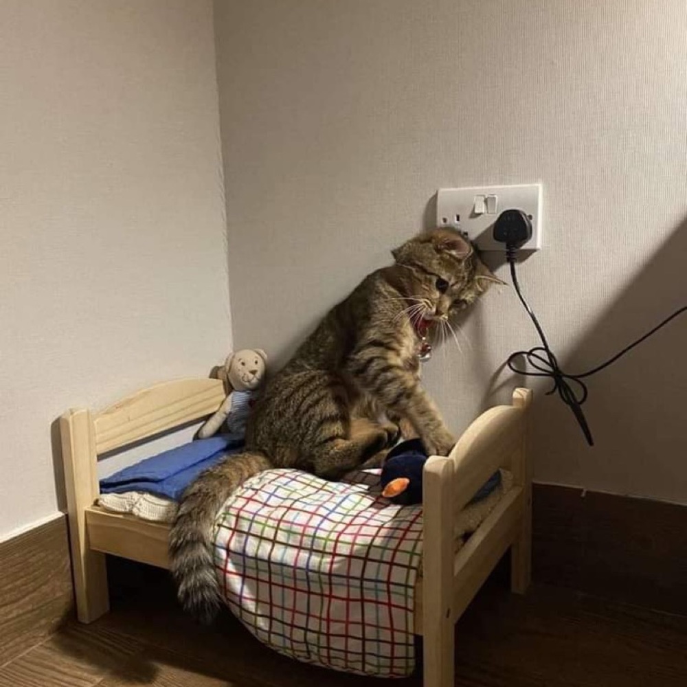 Meet your Posher, Christine